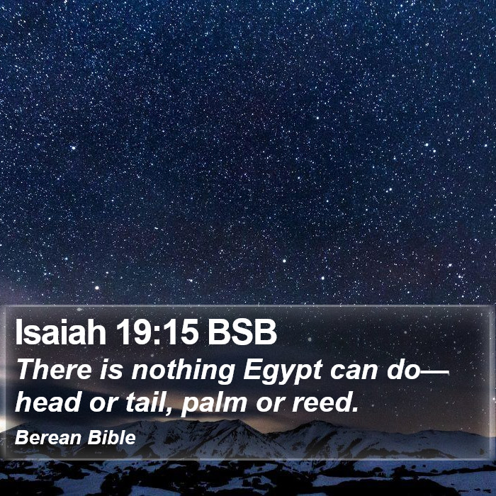 Isaiah 19:15 BSB Bible Study