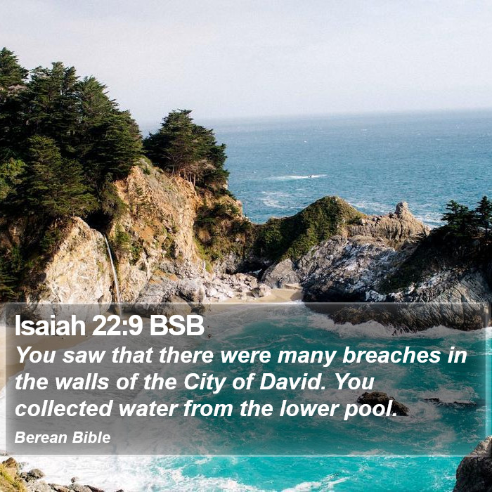 Isaiah 22:9 BSB Bible Study