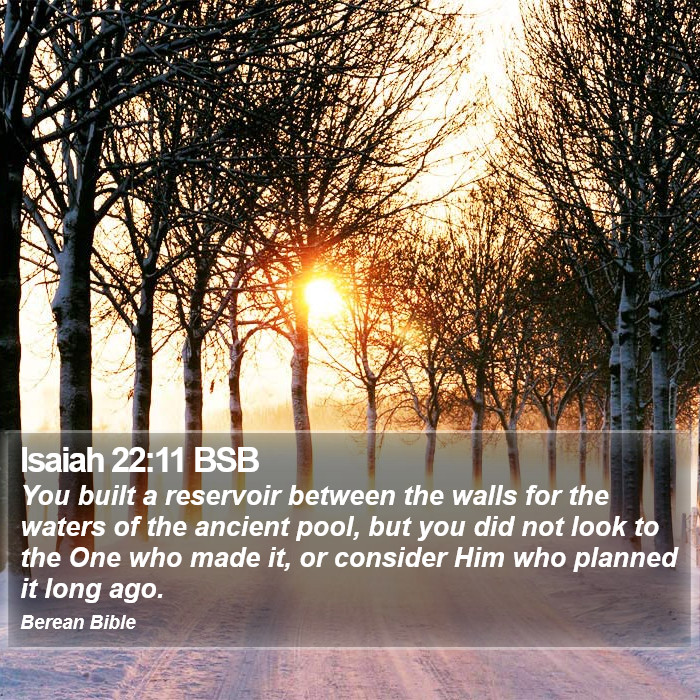 Isaiah 22:11 BSB Bible Study