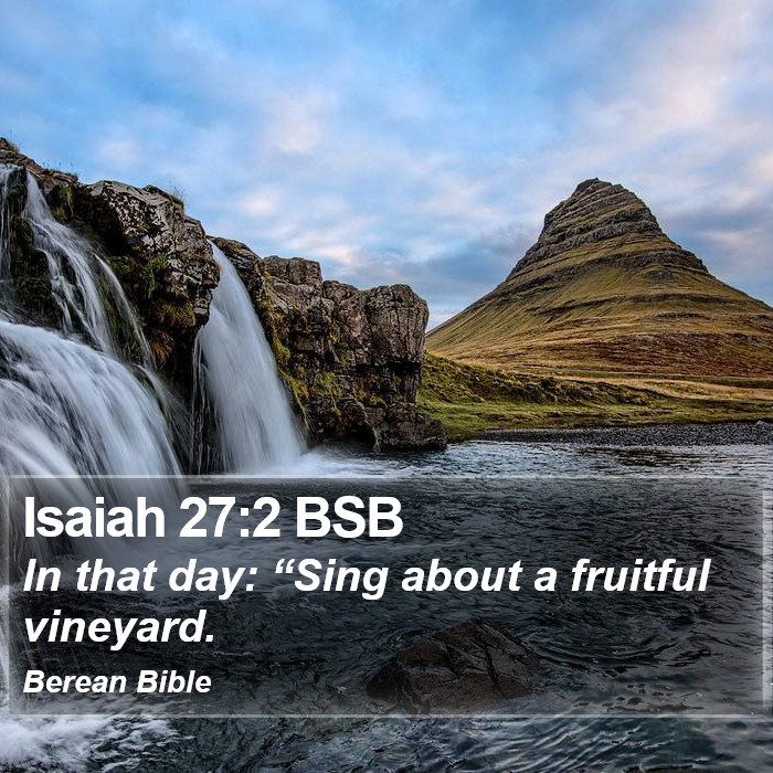 Isaiah 27:2 BSB Bible Study