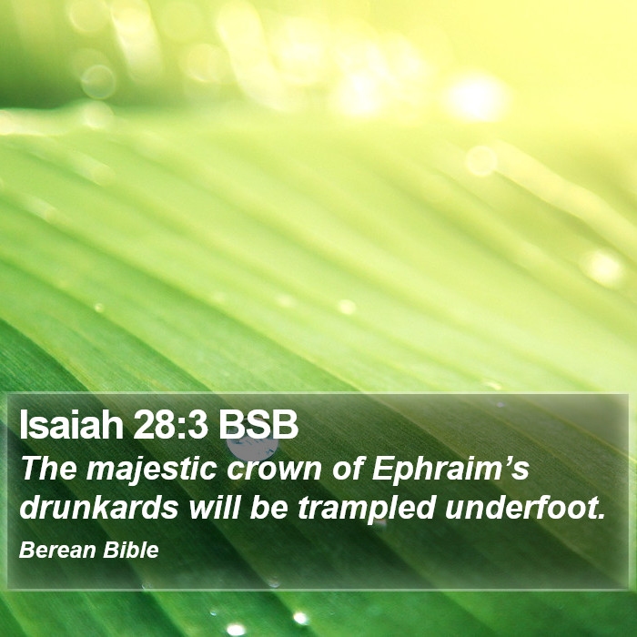 Isaiah 28:3 BSB Bible Study