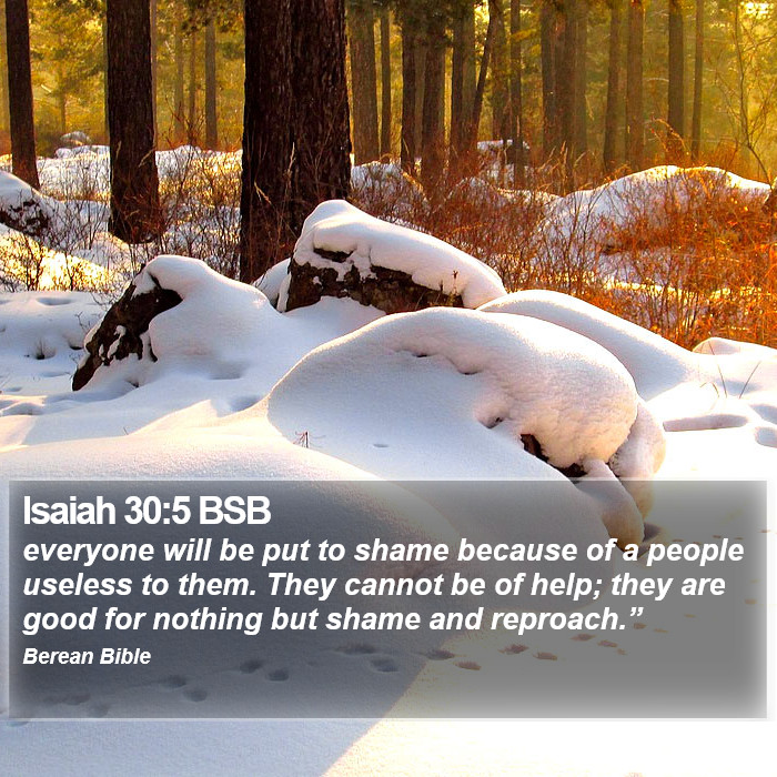 Isaiah 30:5 BSB Bible Study