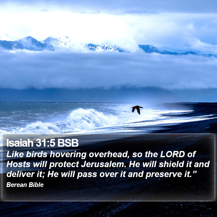 Isaiah 31:5 BSB Bible Study