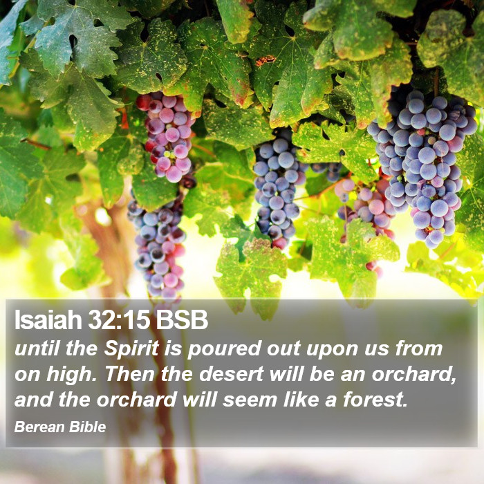 Isaiah 32:15 BSB Bible Study