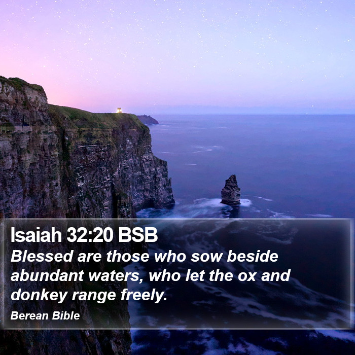 Isaiah 32:20 BSB Bible Study