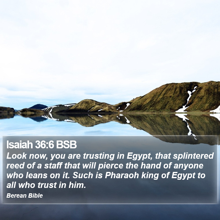 Isaiah 36:6 BSB Bible Study