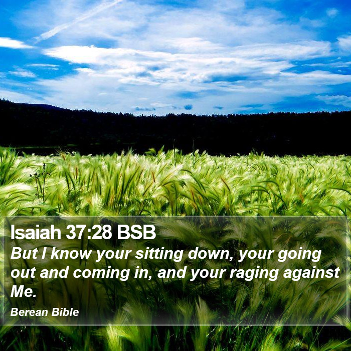 Isaiah 37:28 BSB Bible Study