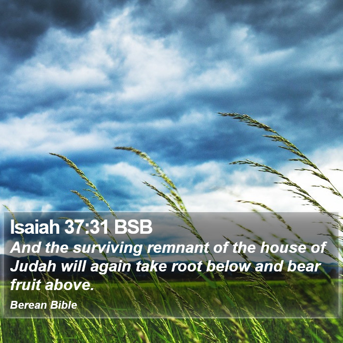 Isaiah 37:31 BSB Bible Study