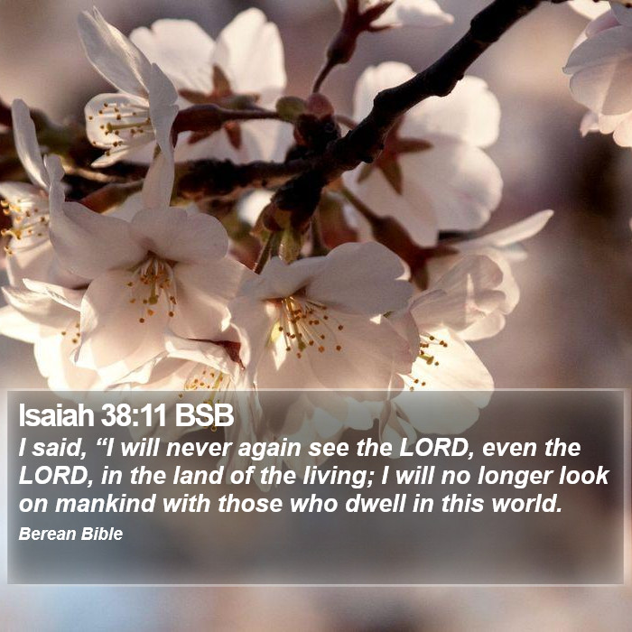 Isaiah 38:11 BSB Bible Study