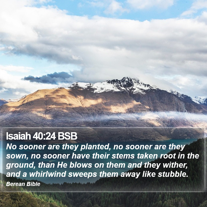 Isaiah 40:24 BSB Bible Study