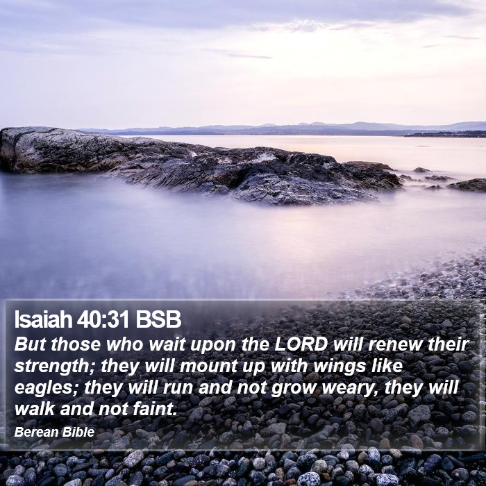 Isaiah 40:31 BSB Bible Study