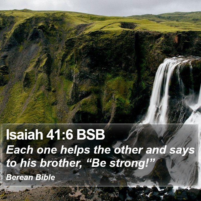 Isaiah 41:6 BSB Bible Study