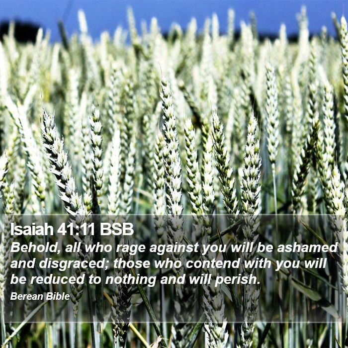 Isaiah 41:11 BSB Bible Study