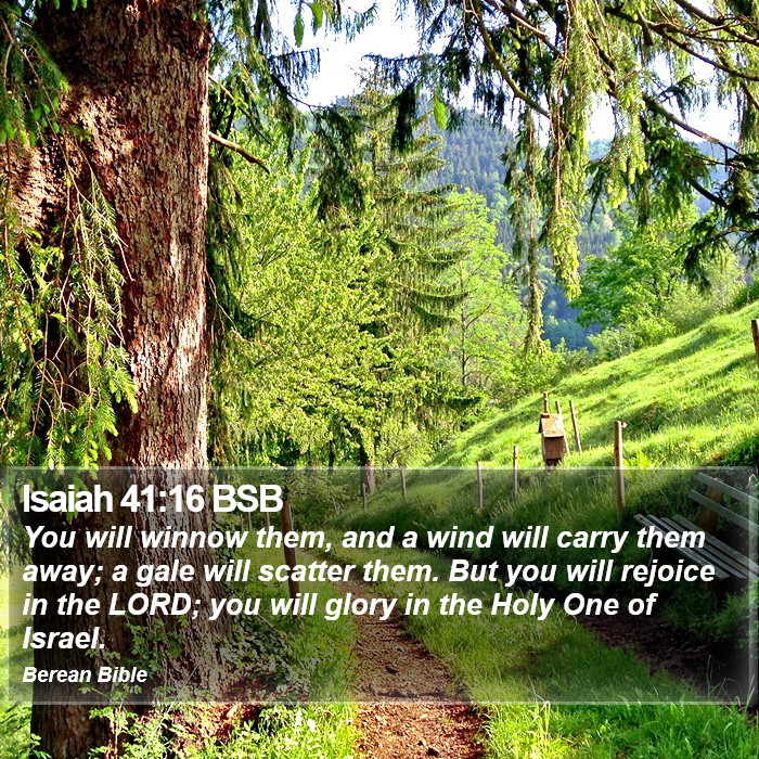 Isaiah 41:16 BSB Bible Study