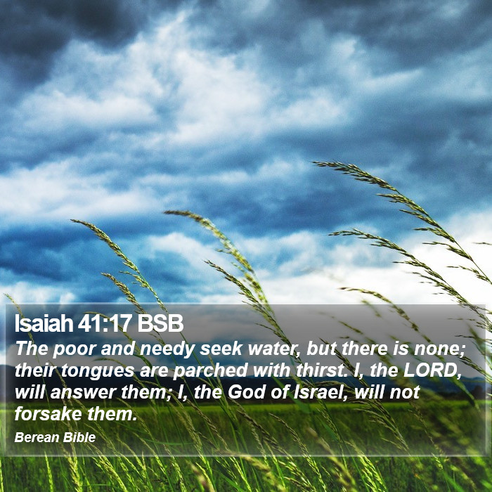 Isaiah 41:17 BSB Bible Study