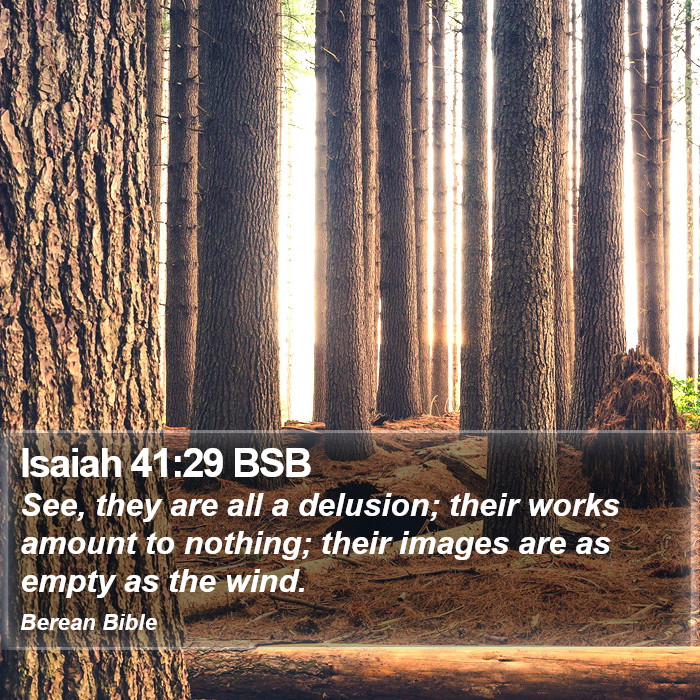 Isaiah 41:29 BSB Bible Study