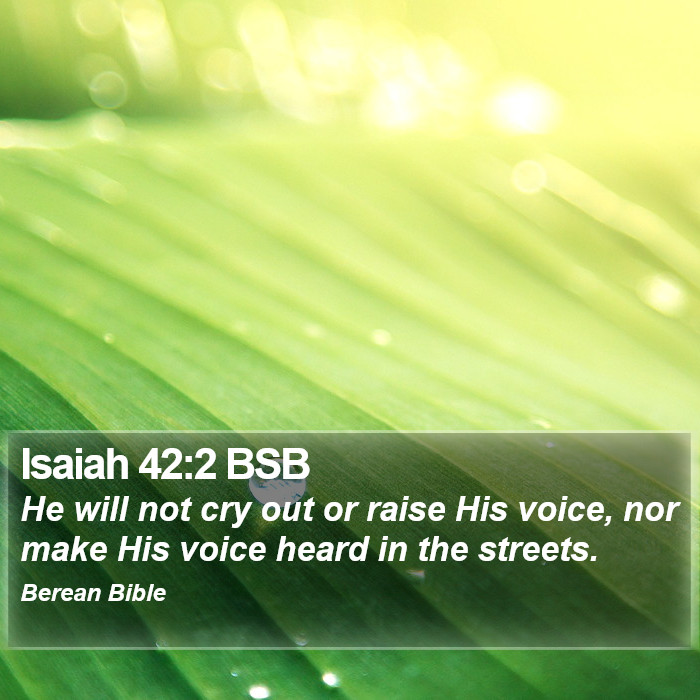 Isaiah 42:2 BSB Bible Study