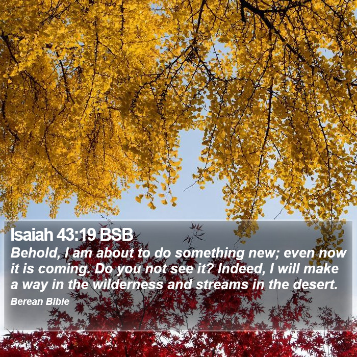 Isaiah 43:19 BSB Bible Study