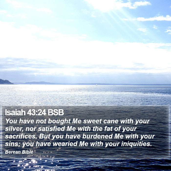 Isaiah 43:24 BSB Bible Study