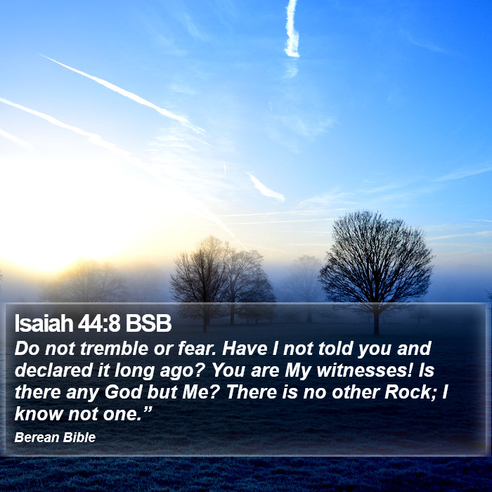 Isaiah 44:8 BSB Bible Study