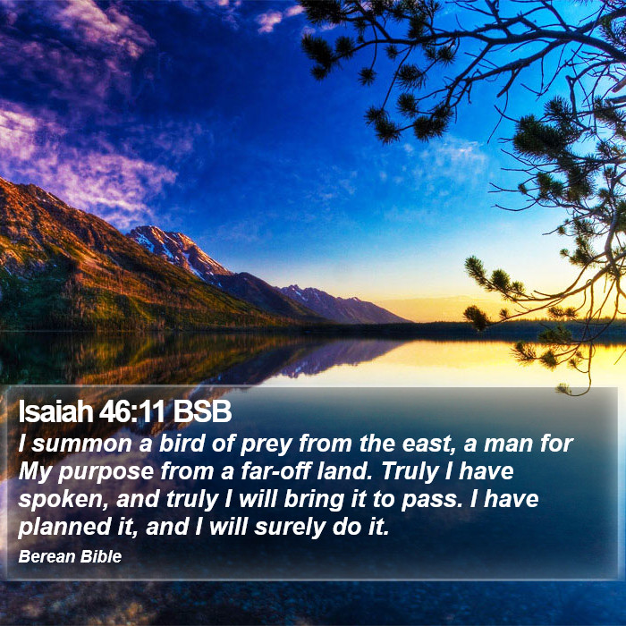 Isaiah 46:11 BSB Bible Study