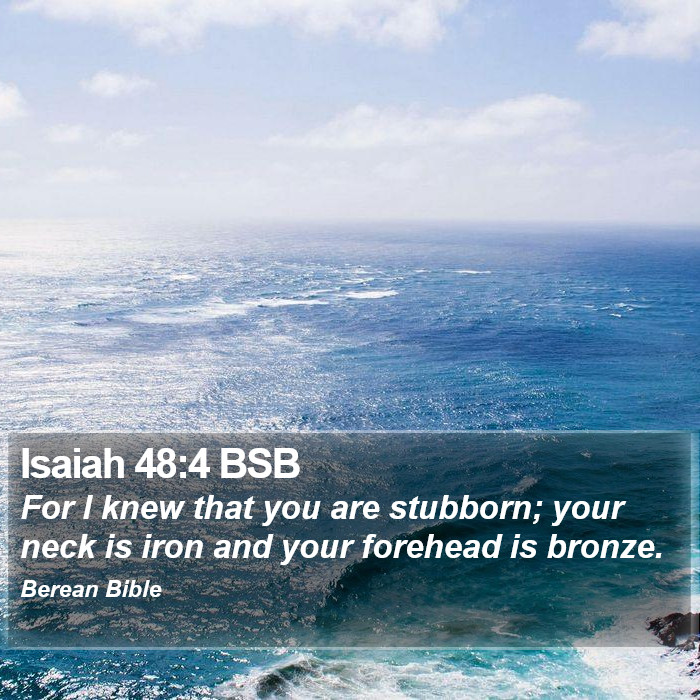 Isaiah 48:4 BSB Bible Study