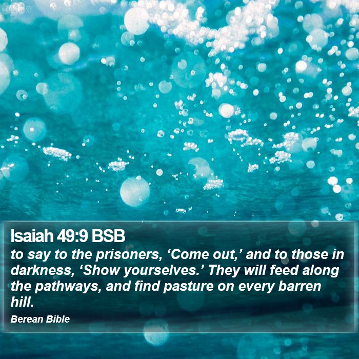 Isaiah 49:9 BSB Bible Study