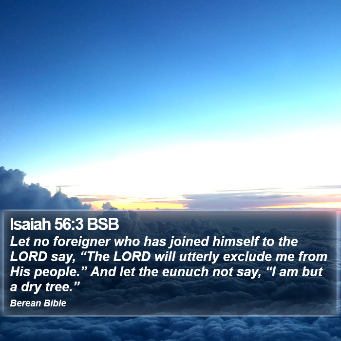 Isaiah 56:3 BSB Bible Study