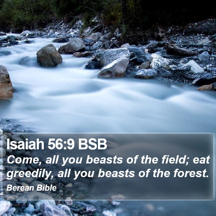 Isaiah 56:9 BSB Bible Study