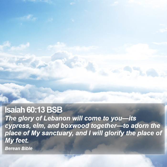 Isaiah 60:13 BSB Bible Study