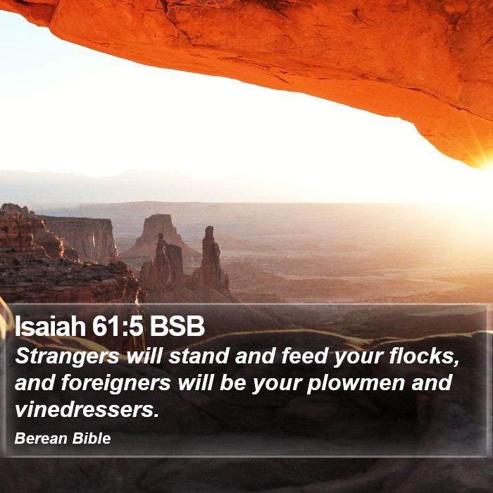 Isaiah 61:5 BSB Bible Study