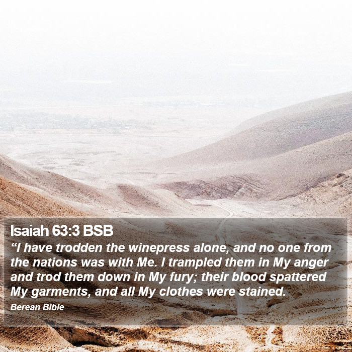 Isaiah 63:3 BSB Bible Study