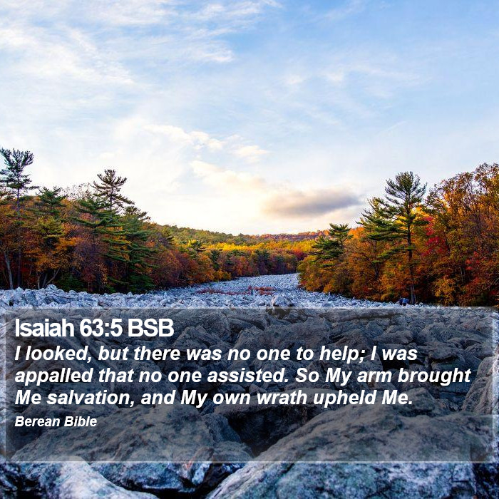 Isaiah 63:5 BSB Bible Study