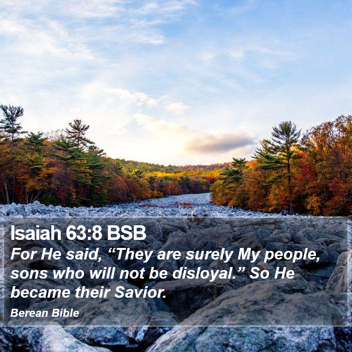 Isaiah 63:8 BSB Bible Study