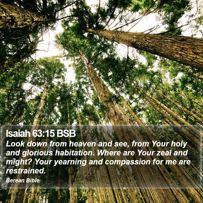 Isaiah 63:15 BSB Bible Study