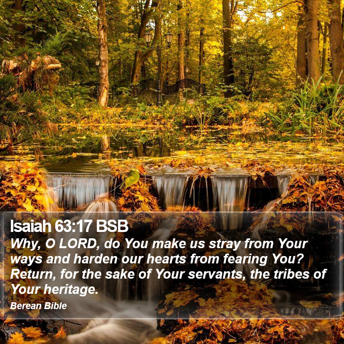 Isaiah 63:17 BSB Bible Study