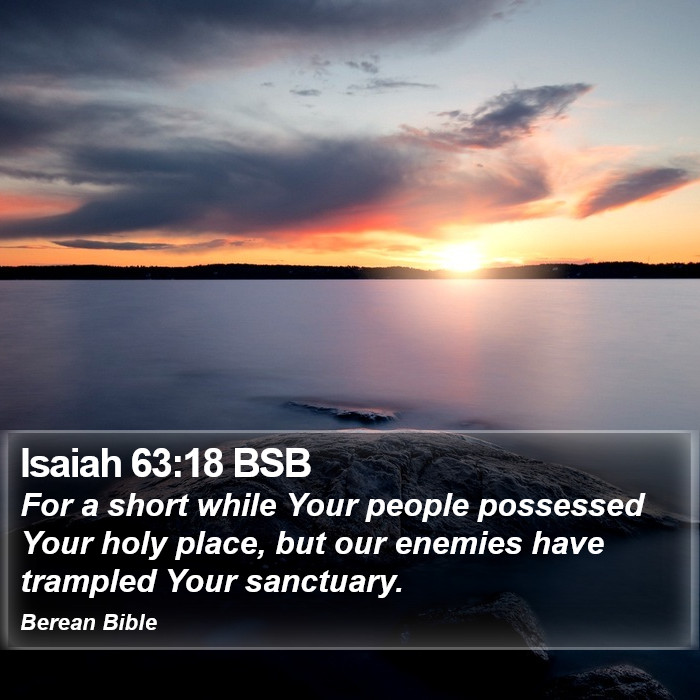 Isaiah 63:18 BSB Bible Study