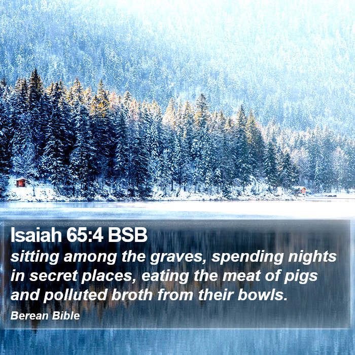 Isaiah 65:4 BSB Bible Study