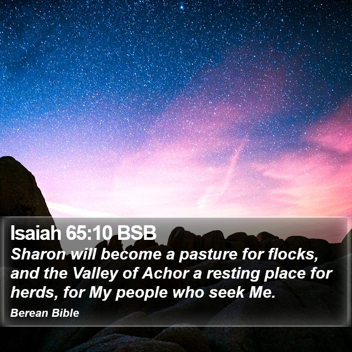 Isaiah 65:10 BSB Bible Study