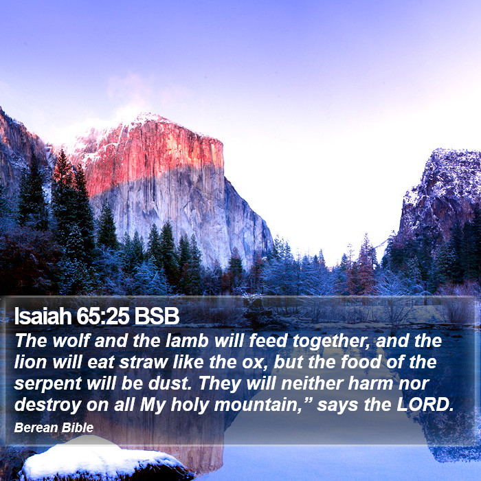 Isaiah 65:25 BSB Bible Study