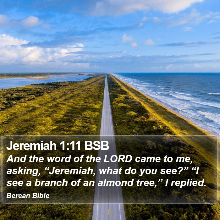 Jeremiah 1:11 BSB Bible Study