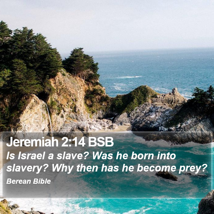 Jeremiah 2:14 BSB Bible Study