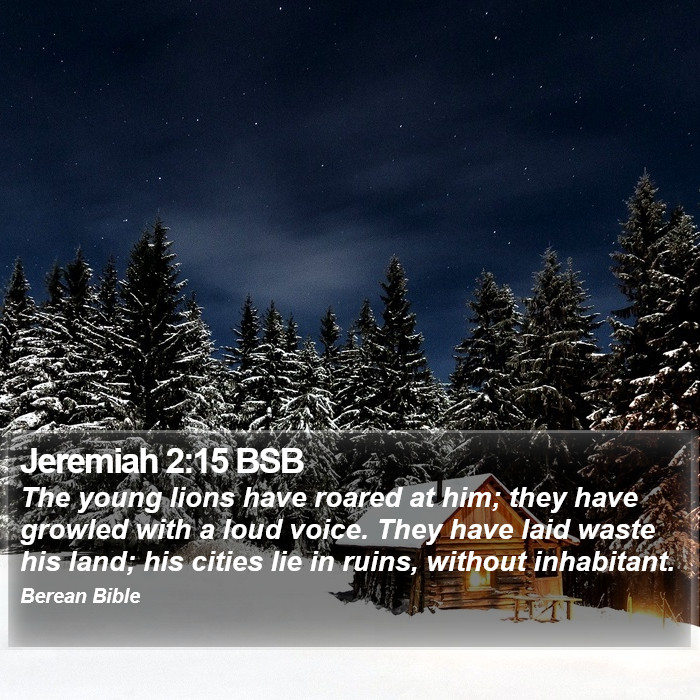 Jeremiah 2:15 BSB Bible Study