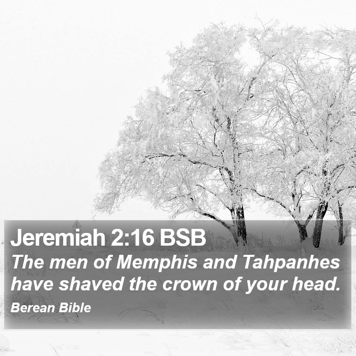 Jeremiah 2:16 BSB Bible Study