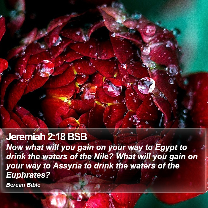 Jeremiah 2:18 BSB Bible Study