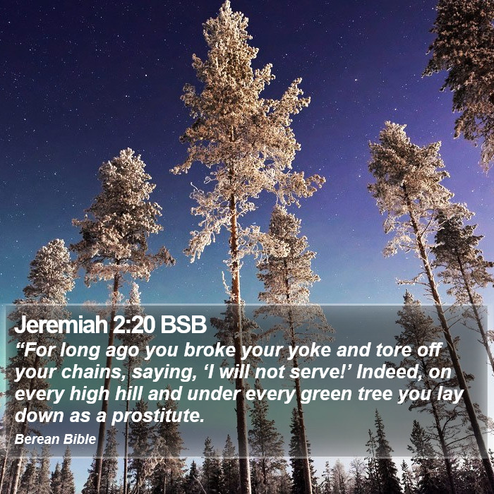 Jeremiah 2:20 BSB Bible Study