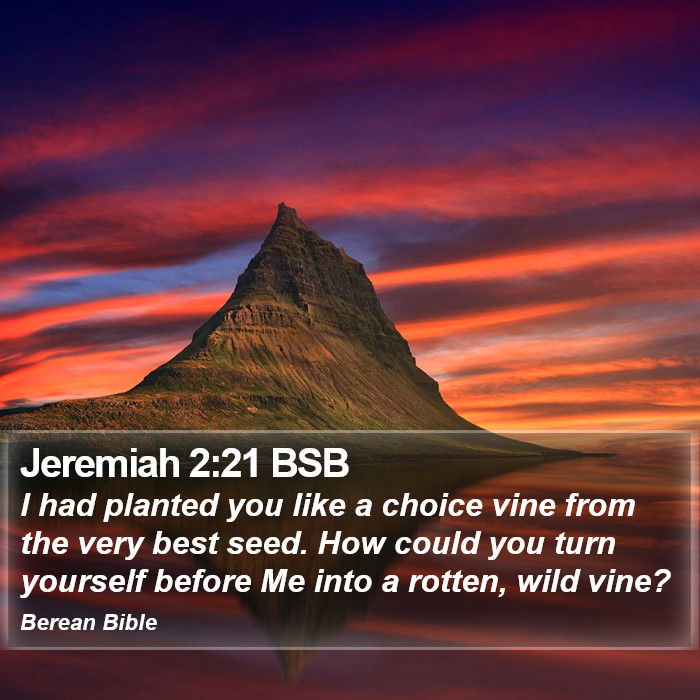 Jeremiah 2:21 BSB Bible Study