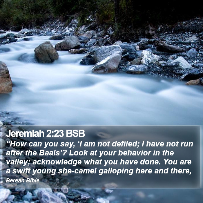 Jeremiah 2:23 BSB Bible Study