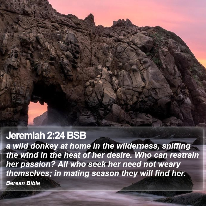 Jeremiah 2:24 BSB Bible Study