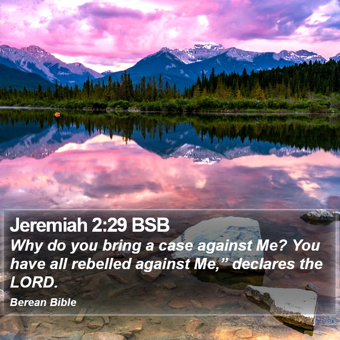 Jeremiah 2:29 BSB Bible Study